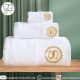 100% Cotton Hotel Luxury SPA Towels Wholesale Luxury Hotel Towels Wholesale